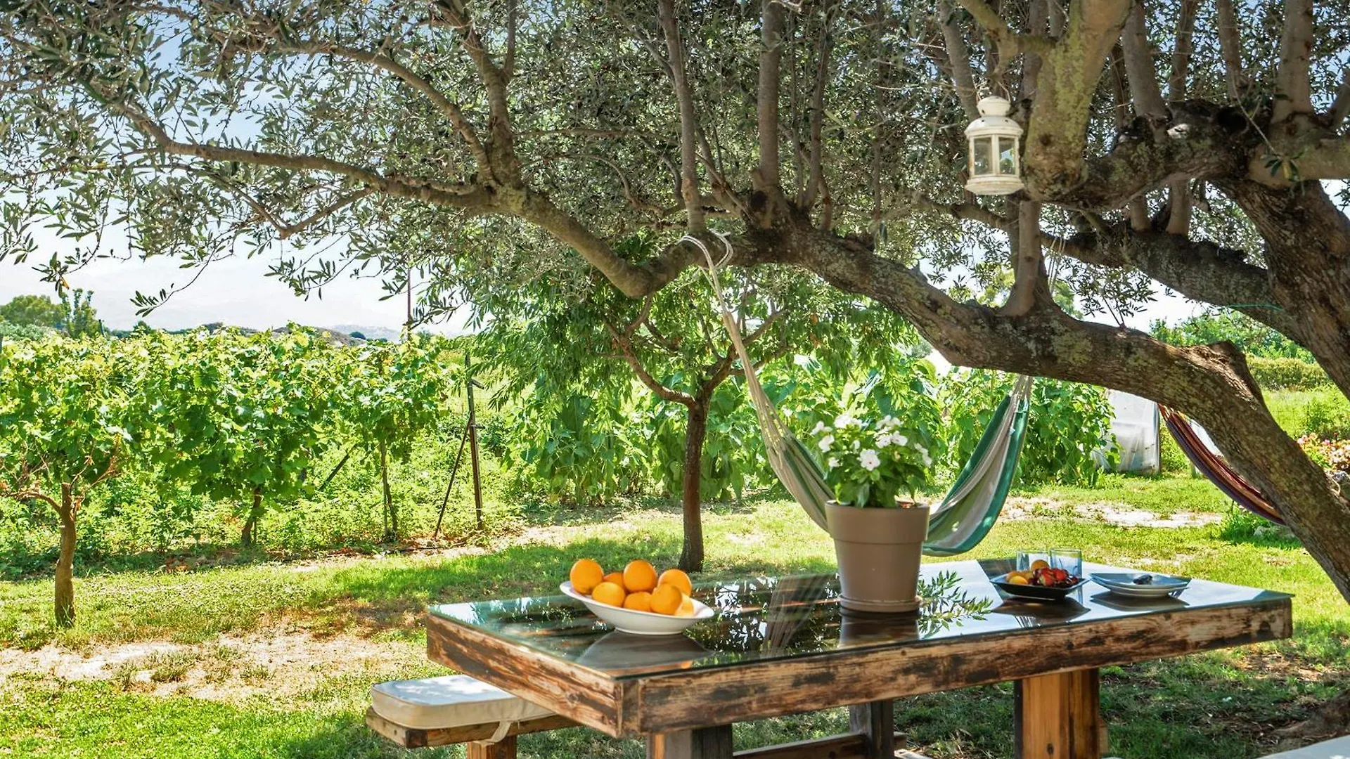 Ktima Dilberaki Villa Lixouri Greece